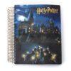 Harry Potter agenda Zweinstein
