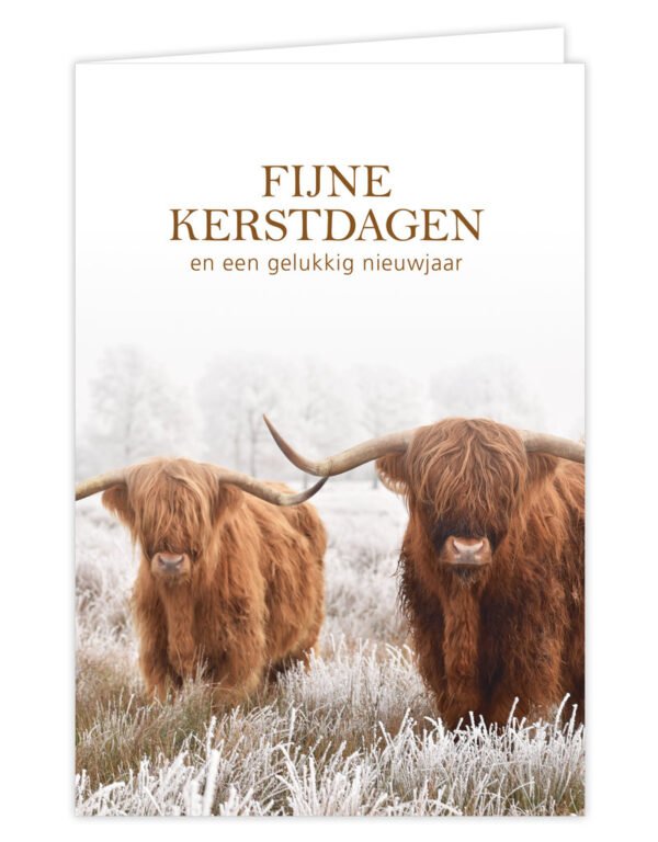 kerstkaart fijne feestdagen rund